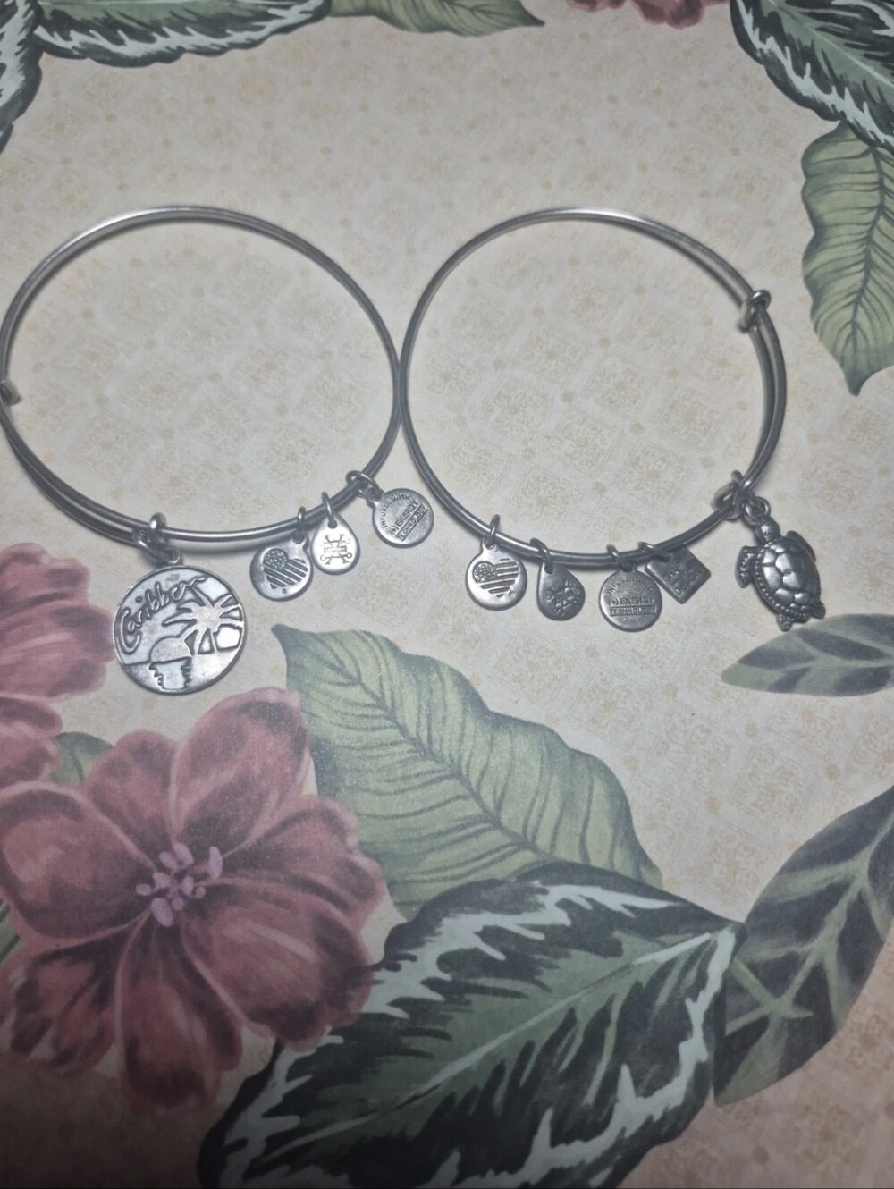 Alex N Ani Silver-Tone Charm Bangle Bracelet Set - Silver Charm Accents